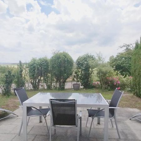 Sonniges 2-Zimmer-Gartenapartment Bietigheim-Bissingen Eksteriør billede